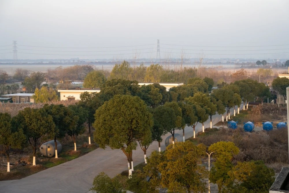 DSC0170